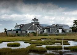Things To Do The Wetlands Institute